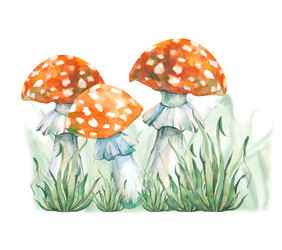 Similar image 22227613