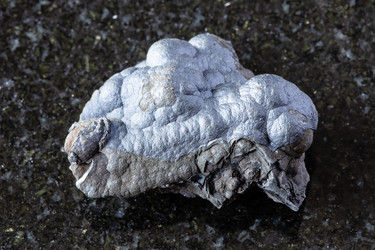 Similar image 22257551