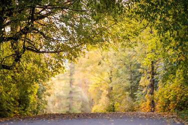 Similar image 22225391