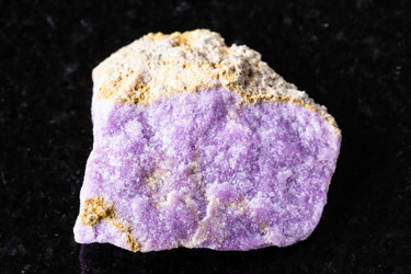 Similar image 22257154