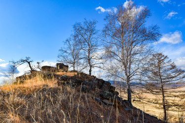 Similar image 22229529