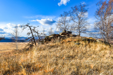 Similar image 22229530