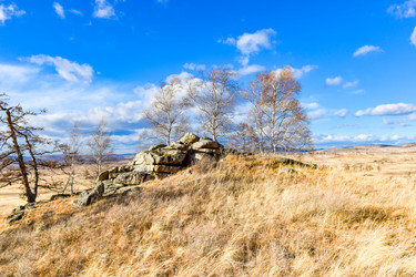 Similar image 22229532