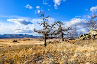 Similar image 22229533