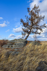 Similar image 22229534