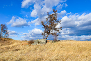 Similar image 22229535