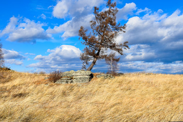 Similar image 22229536