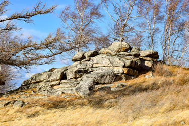 Similar image 22229537