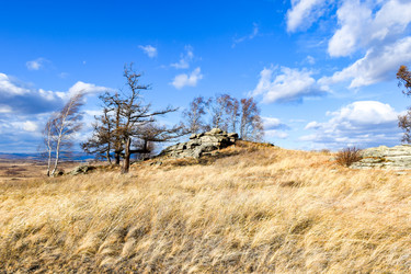 Similar image 22229538