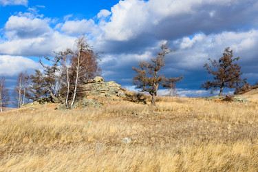 Similar image 22229539