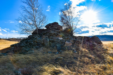 Similar image 22229540