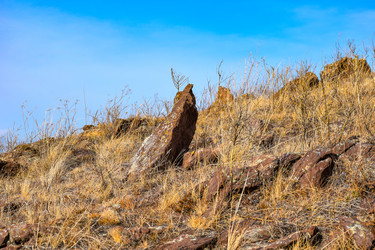 Similar image 22230917