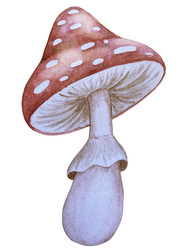 Similar image 22230647