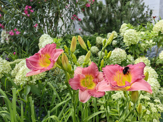 Similar image 22227683