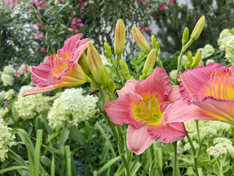 Similar image 22227685