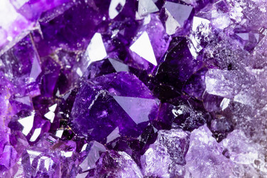 Similar image 22228712