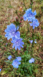 Similar image 22226234