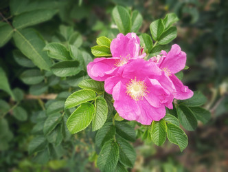 Similar image 22226236