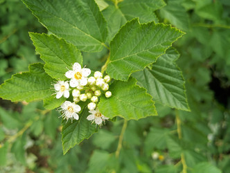 Similar image 22226239