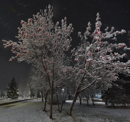 Similar image 22228782