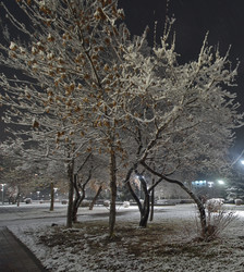 Similar image 22228783