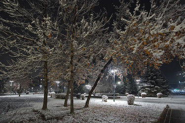 Similar image 22228787