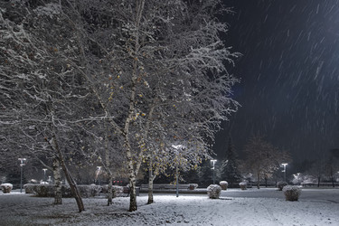 Similar image 22228788