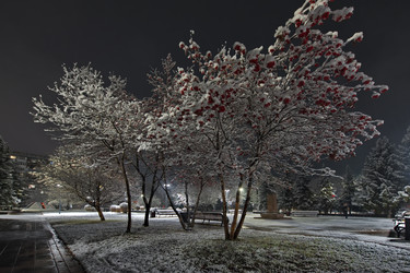 Similar image 22228790