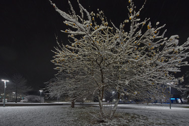 Similar image 22228792