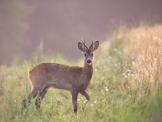 Similar image 22227405