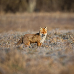 Similar image 22227406