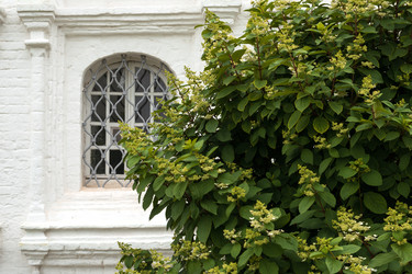 Similar image 22226241