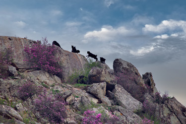 Similar image 22228237