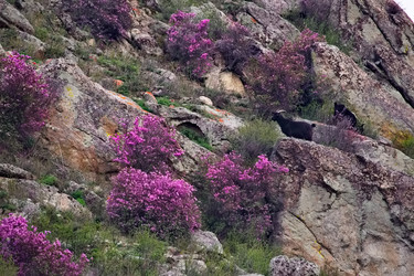 Similar image 22228238