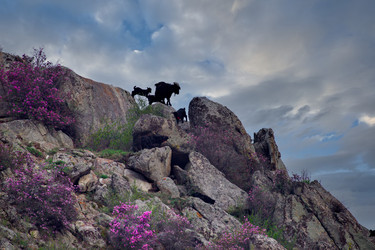 Similar image 22228239