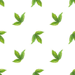 Similar image 22226426