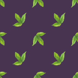 Similar image 22226427