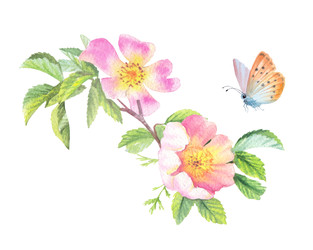 Similar image 22226441