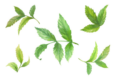 Similar image 22226443