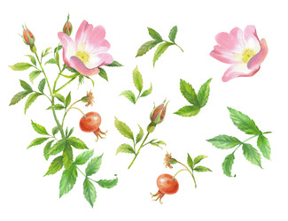 Similar image 22226454