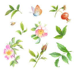 Similar image 22226455