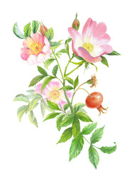 Similar image 22226459