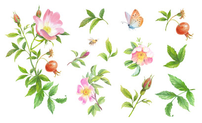 Similar image 22226468