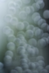 Similar image 22227715