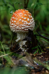 Similar image 22227717