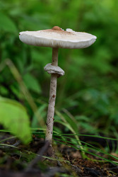 Similar image 22227718