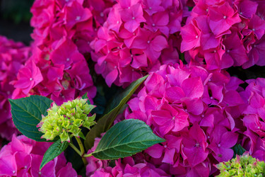 Similar image 22227719