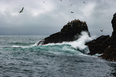 Similar image 22228803