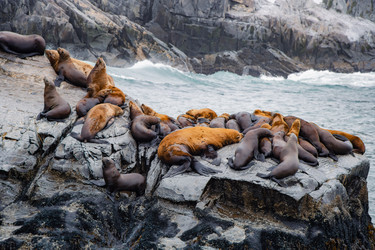 Similar image 22228805