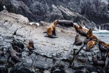 Similar image 22228806